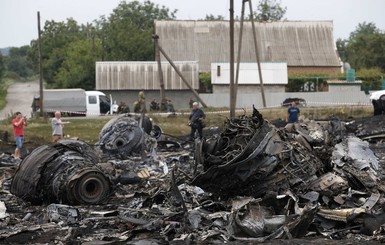 Силовики прекратят огонь в радиусе 40 км от места крушения Боинга