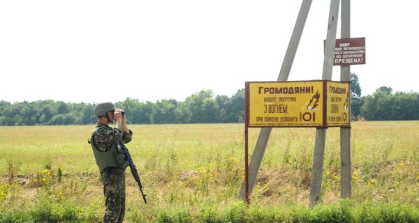 На границе с Приднестровьем мастерят ловушки и гоняют кабанов