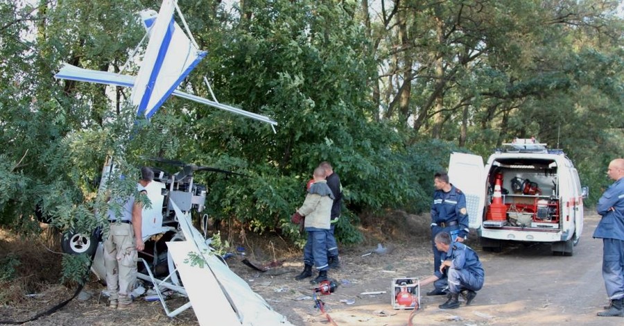 На Днепропетровщине самолет рухнул на дерево