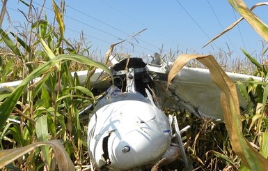 В Черниговской области упал самолет