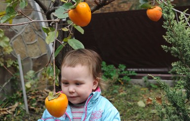 Как меняется климат в Одессе: хурма на огородах, и реки на полметра выше