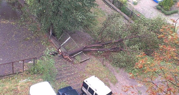 В Запорожской области из-за урагана дети не пошли в школу