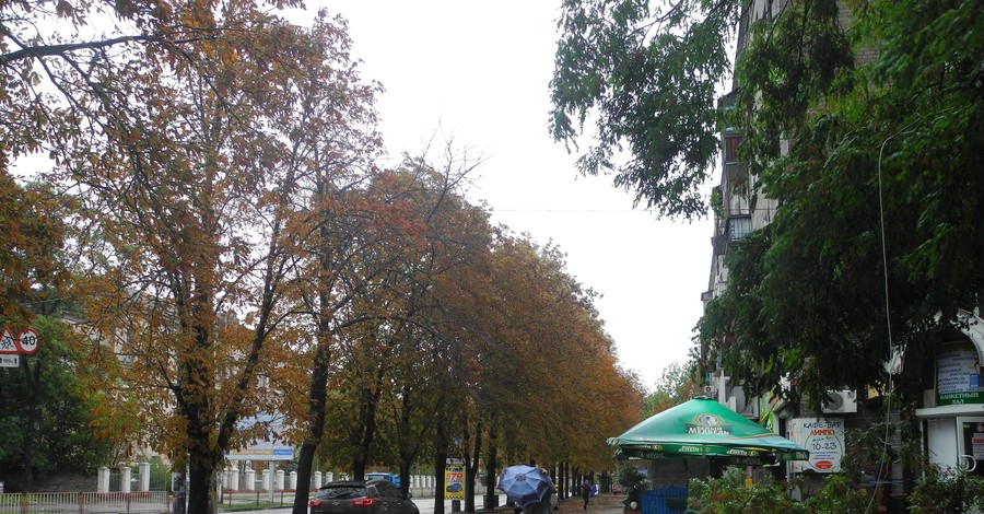 Последствия стихии в Днепропетровске: двое покалеченных, более 4 тысяч домов без света и затопленные улицы