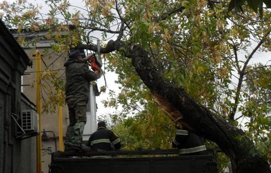 В Запорожье такой непогоды не было больше 35 лет!