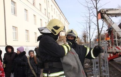 Во Львове спасатели снимали кота с рекламного билборда