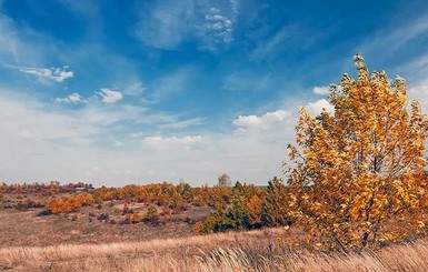 27 октября местами до 13 градусов тепла