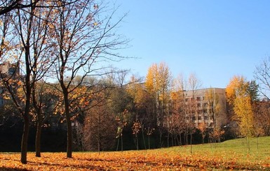 В понедельник, 3 ноября, днем от 2 до 13 градусов тепла