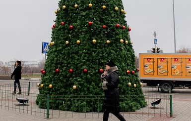 В Запорожье уже появились елки