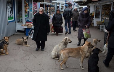 Без денег и прав: жизнь в 