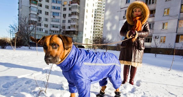 Сегодня, 1 декабря, местами пройдет небольшой снег