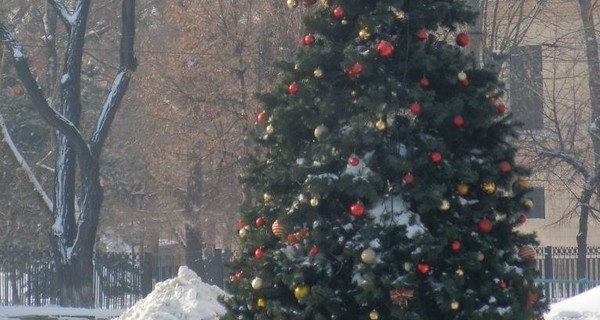 В Луганске появился снежный слон и медведь  