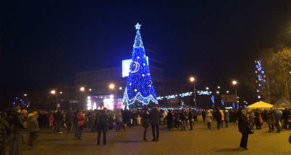 В Донецке зажгли главную елку