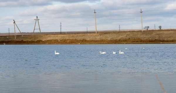 На Львовщине двухлетний мальчик погиб после падения в озеро