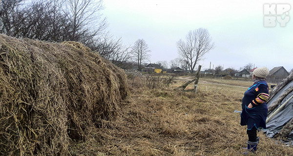 В Беларуси видели НЛО?