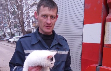 Запорожские пожарники больше суток снимали с дерева беременную кошку