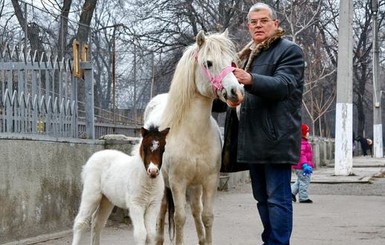 В Одессе родился Зефир в шоколаде