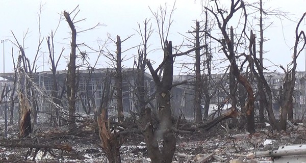 В аэропорту будут искать тела погибших 