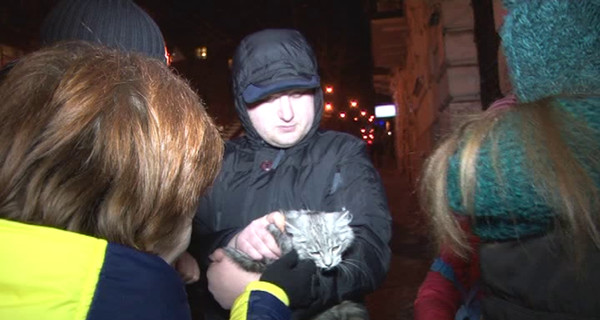 Львовские спасатели: в огонь и в воду, и за кошкой на дерево