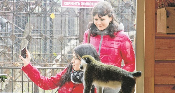 Директор Института психиатрии имени Сербского Зураб Кекелидзе: Тяга к селфи - это опасно! 