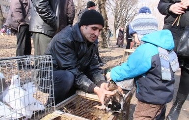 В Запорожской области на выставке птиц 