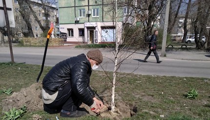 В честь трагически погибшего в ДТП с бандитами Александра Усачева высадили аллею сакур