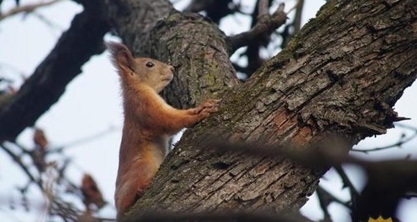 В воскресенье, 5 апреля, ночью морозы, а днем тепло