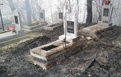 Во Львове из-за сжигания прошлогодней травы сгорели около десятка могил на Голоскивском кладбище?