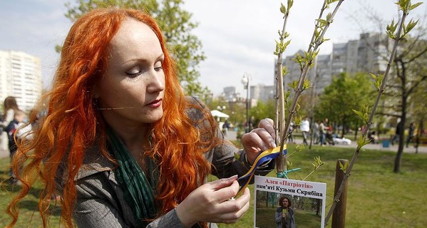 В Киеве на кленах написали песни 