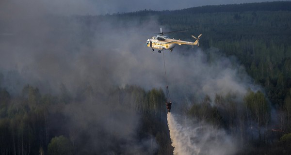 Пожар в Чернобыльской зоне остановили, но не потушили 