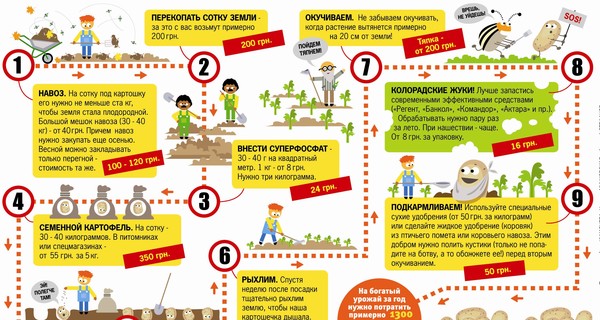 Что дешевле: купить картошку или вырастить ее самому? 