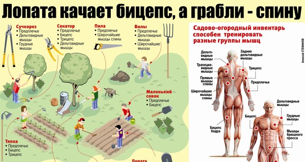 Дачный фитнес: качаем мышцы лопатой и сучкорезом