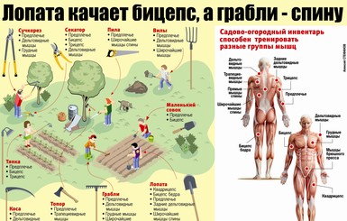 Дачный фитнес: качаем мышцы лопатой и сучкорезом