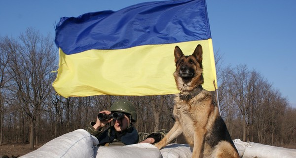 На границе задержан разведчик-гранатометчик 