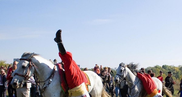 Отмечаем День семьи в Запорожье: в Роще - ярмарка спорта, возле Дуба - казаки 