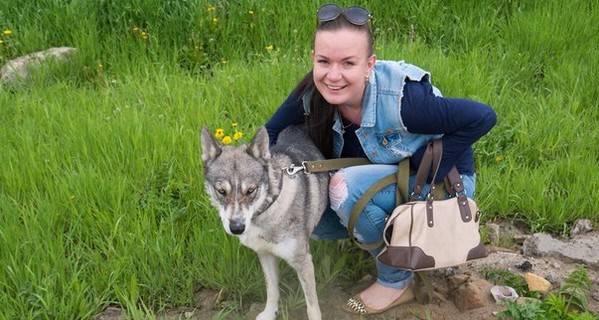 Харьковские студенческие команды Enactus собирают мусор и строят будки для собак бездомных