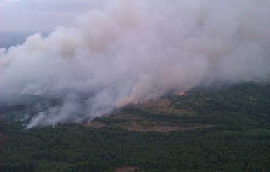 В Чернобыльской зоне снова масштабный пожар