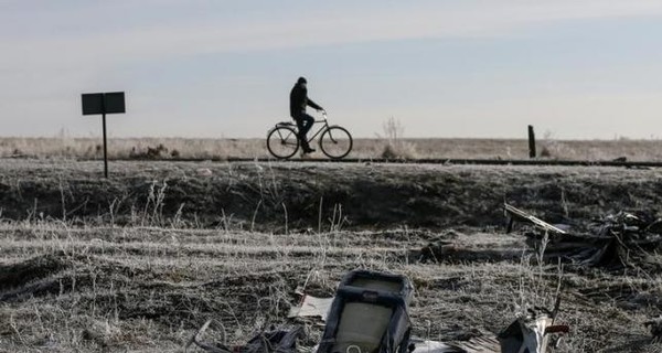 СМИ: Пять стран могут создать независимый трибунал по рейсу MH17