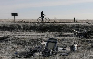 СМИ: Пять стран могут создать независимый трибунал по рейсу MH17