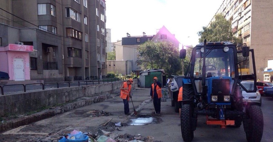 В Киеве под незаконными МАФами живут полчища крыс