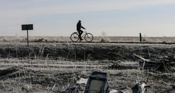 Эксперты из Нидерландов заявили о возможной находке деталей 