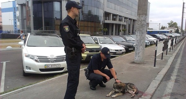 Во Львове полицейские спасали раненую собаку