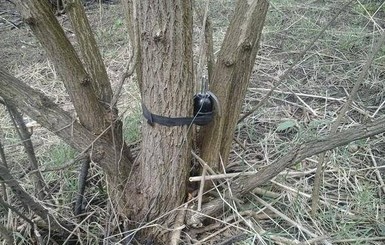 В Луганской области двое военных подорвались на растяжке, один погиб