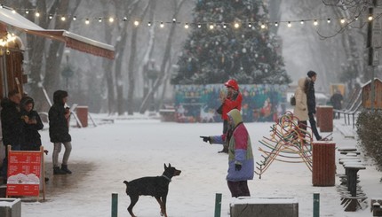 Снегопад в Киеве