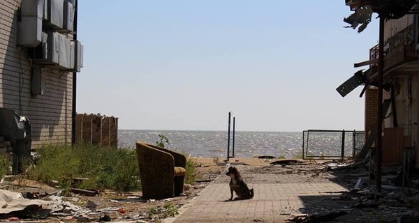 Широкино после войны: заминированные трупы, 