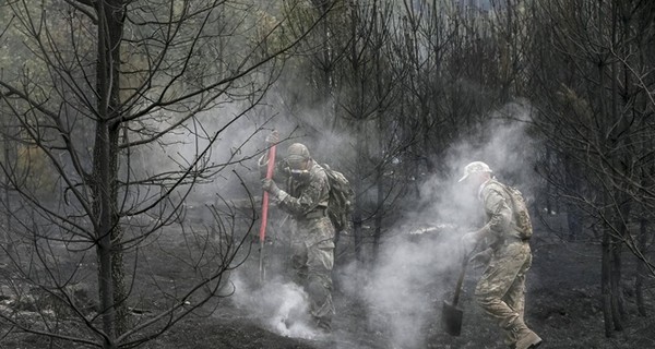 В 11 районах Киевской области продолжают тлеть торфяники