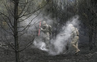 В 11 районах Киевской области продолжают тлеть торфяники