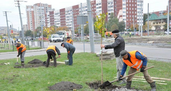 Во Львове на проспекте Черновола станет меньше пыли и больше тишины