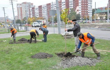 Во Львове на проспекте Черновола станет меньше пыли и больше тишины