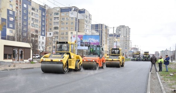 Во Львове на проспекте Красной Калины высадят калину