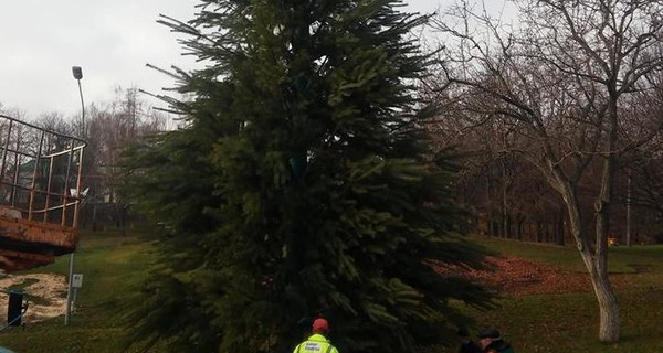 В Киеве на Певчем поле откроют каток